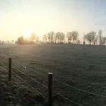 Rudis Lägenhet *